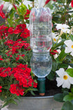 Blumat Easy Bottle Watering Stake - 1 Pack