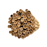 Natural Reeds for Leafcutter Bees, 6mm