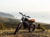 Freego Shotgun Flash F3 Pro Max Premium Electric Bike