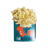 Fungisaurus Rex - Gold Oyster Mushroom Grow Kit - 5 LBS (with box)