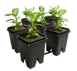 Active Aqua Grow Flow 2.0 Expansion Kit with six 5 gal Square Pots
