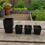 Square Plastic Pots - Anderson 2" Black