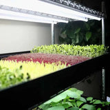Bootstrap Farmer Grow Rack - Automated Vertical Propagation Rack