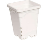 Active Aqua 7" x 7" Square White Pot, 9" Tall, case of 50