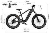 HOVSCO HovAlpha 26" Fat Tire Electric Bike