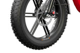 HOVSCO HovBeta 20" Foldable Fat Tire Electric Bike
