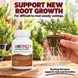 Hormex Rooting Powder Variety Pack #8 & #16 - Two 3/4 oz Bottles