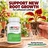 Hormex Rooting Powder #1 (0.10% IBA) - For Easy-to-Root Plant Cuttings