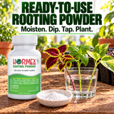 Hormex Rooting Powder #1 (0.10% IBA) - For Easy-to-Root Plant Cuttings