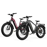 HOVSCO HovAlpha 26" Fat Tire Electric Bike