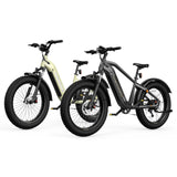 HOVSCO HovAlpha 26" Fat Tire Electric Bike