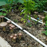 Gravity BluSoak Raised Bed Kits