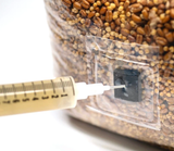 8-Pack Organic Sterilized Grain Spawn Bags