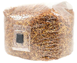 8-Pack Organic Sterilized Grain Spawn Bags