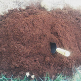 Pure Coco® Organic Coco Coir compressed 11lbs naked block