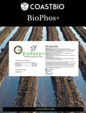 BioPhos+