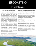 BioPhos+