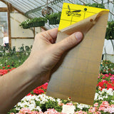 Gardner FlyWeb Universal Insect Monitor Cards, Yellow /Yellow - FW-75 - Box of 10 Packs
