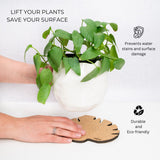 Kostr™ - Monstera Leaf-shaped  cork plant pot coaster
