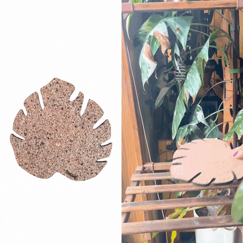 monstera leaf coaster Kostr™