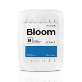 Athena Blended Bloom B
