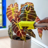 Leaf Sweep™ Plant Cleaning Tool - Starter Kit w/ Combo Covers