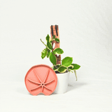 Lili Sausr - Lilly pad shaped Saucer - Spill tray - Drip tray for houseplants - Humidity tray
