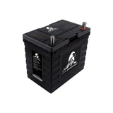 Lion Energy Adventure BT Battery