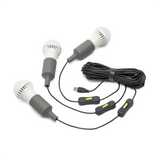 Lion Energy Lion Eclipse Travel Kit