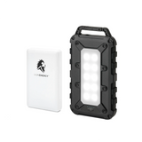 Lion Energy Power Bank Bundle