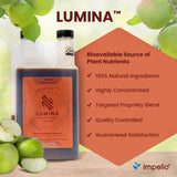 Lumina™ All-purpose Organic Amino Acid Biofertilizer
