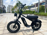 Freego Mini Fat Tire Electric Bike
