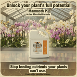 Mammoth P Active Microbials