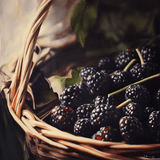 Marionberry