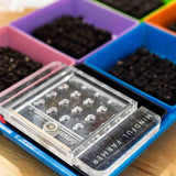 Bootstrap Farmer Soil Block Drop Seeder - Mini 20 - Complete Set | Mindful Farmer