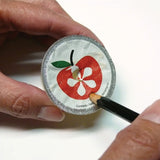 Gardner Mini Trapple Fruit Fly Trap - Case of 12