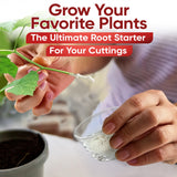 Hormex Rooting Powder #3 (0.30 IBA) - Rooting Hormone for Common Home & Garden Plant Cuttings