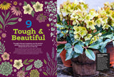 Container Gardening - 101 Easy Ideas For Big Impact: Window Boxes & Hanging Planters, Kid Friendly Projects, Inspiring Sensory Containers, Drought Tolerant Plantings, Pollinator Must Haves & More!