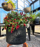 Smart Pot 15-Gallon Vegetable Planters (3 Pack)