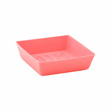 5X5 Shallow Microgreen Trays