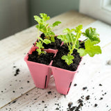 4 Cell Plug Tray Inserts