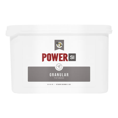 Power SI Granular—500g
