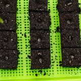 Soil Blocking Starter Kit