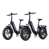 HOVSCO HovBeta 20" Foldable Fat Tire Electric Bike