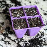 4 Cell Plug Tray Inserts