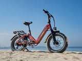 HeyBike Ranger 3.0 Pro-combo