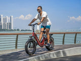 Heybike Ranger 3.0 Pro