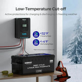 Renogy Core - 24V 100Ah Deep Cycle Lithium Iron Phosphate Battery