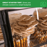 ShroomRoom: Mushroom Grow Tent