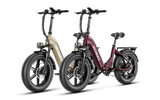 Heybike Ranger S 1000W Combo